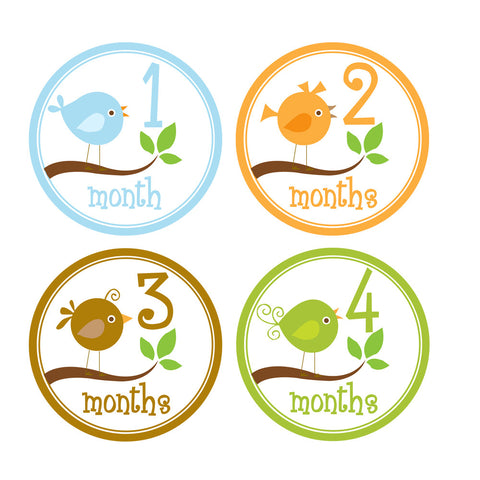 Baby Birds Baby Month Stickers