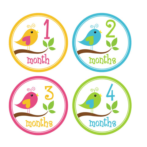 Girl Little Birds Baby Month Stickers