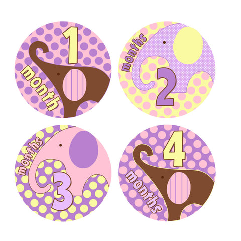 Pink & Purple Elephant Baby Month Stickers