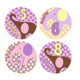 Pink & Purple Elephant Monthly Baby Stickers onesie sticker - INKtropolis