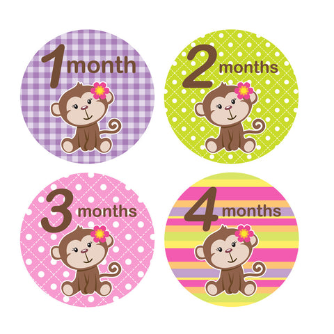 Girl Monkey Baby Month Stickers