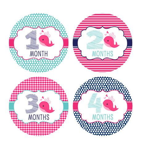 Girl Nautical Whale Baby Month Stickers