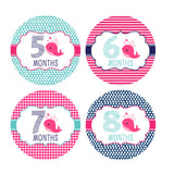 Girl Nautical Whale Monthly Baby Stickers onesie sticker - INKtropolis