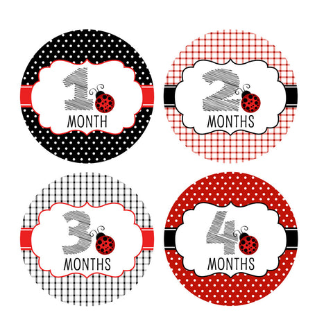 Ladybug Baby Month Stickers