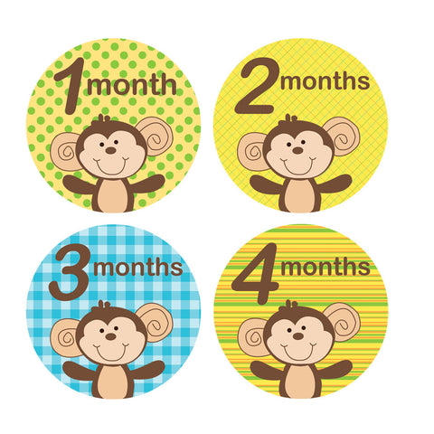 Boy Monkey Baby Month Stickers