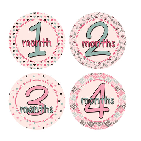 Pink and Dark Sage Baby Month Stickers